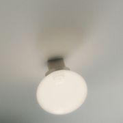 Frama Ovoid Sconce jpg