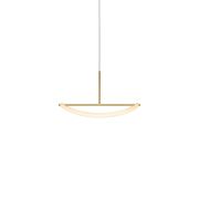 productFgp bFGraypants Levity Halo jpg