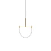 Graypants Levity ARC jpg