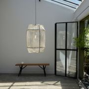 Sacha van Dorssen DSCa jpg