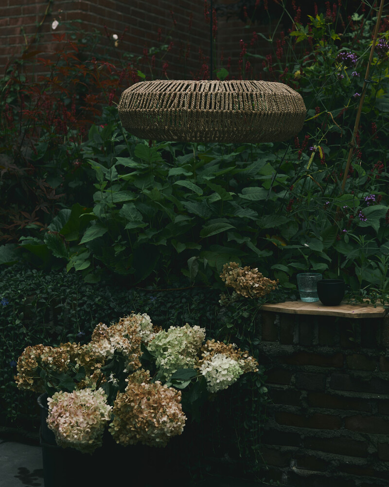 img jpg